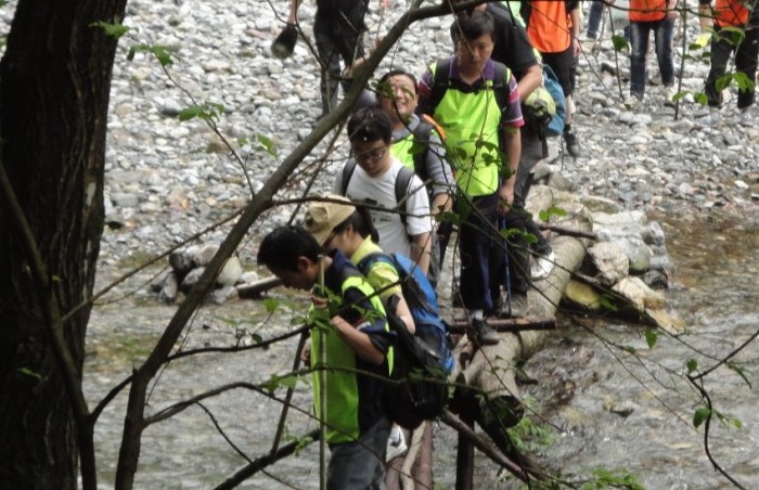 過獨(dú)木橋